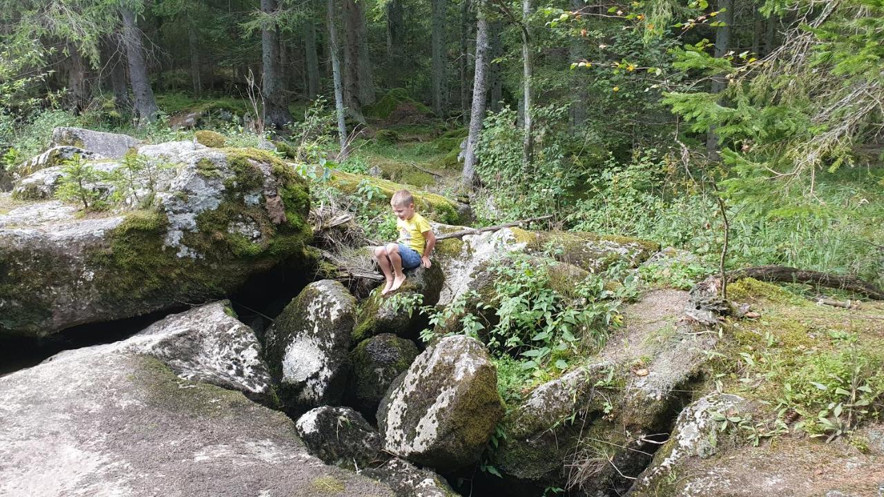 Ferienhaus Buxbaum Arbesbach Dış mekan fotoğraf